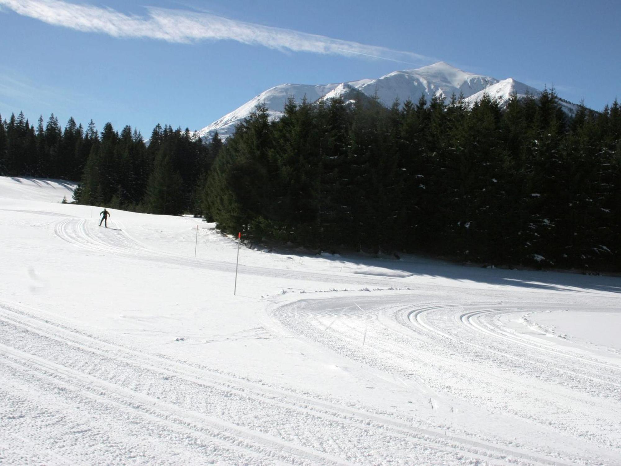 Chalet In Hohentauern Near Ski Area With Sauna المظهر الخارجي الصورة